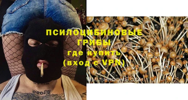 мяу мяу мука Баксан