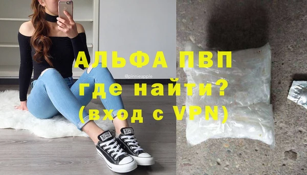 мяу мяу мука Баксан