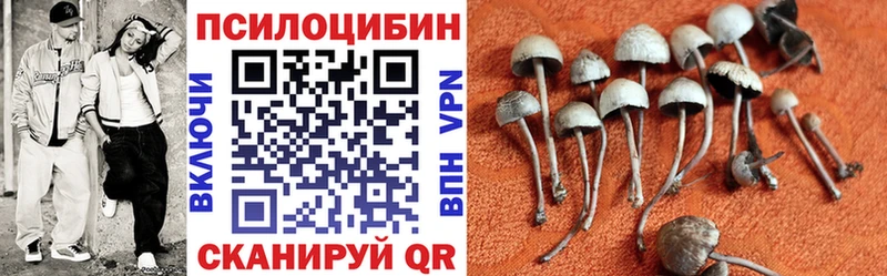 Псилоцибиновые грибы мухоморы  Купить  Фатеж 